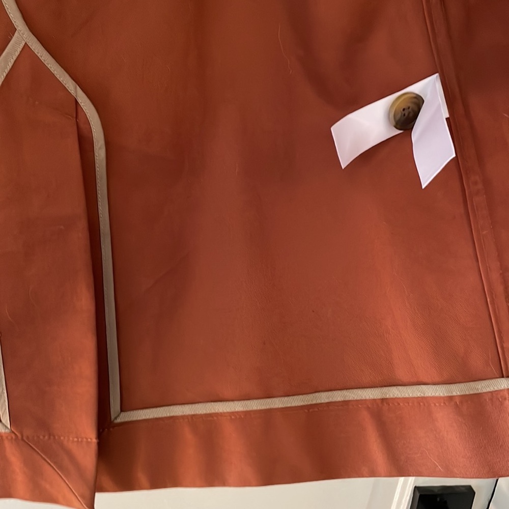 Everlane Rust Brown Pea Coat - Picture 5 of 9